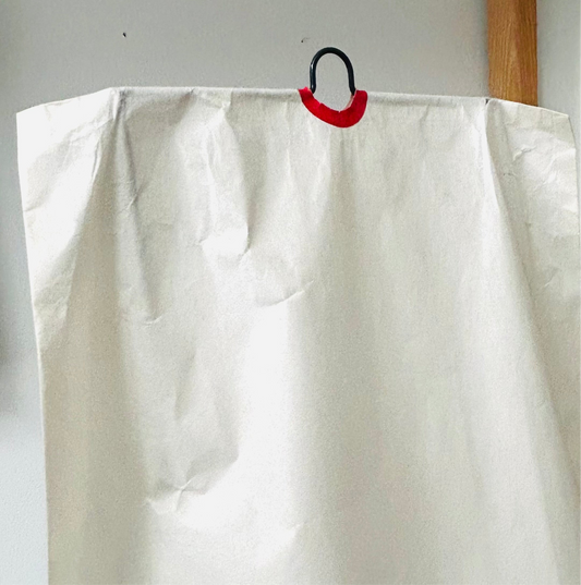 Noguchi 2P Akari Light Sculpture