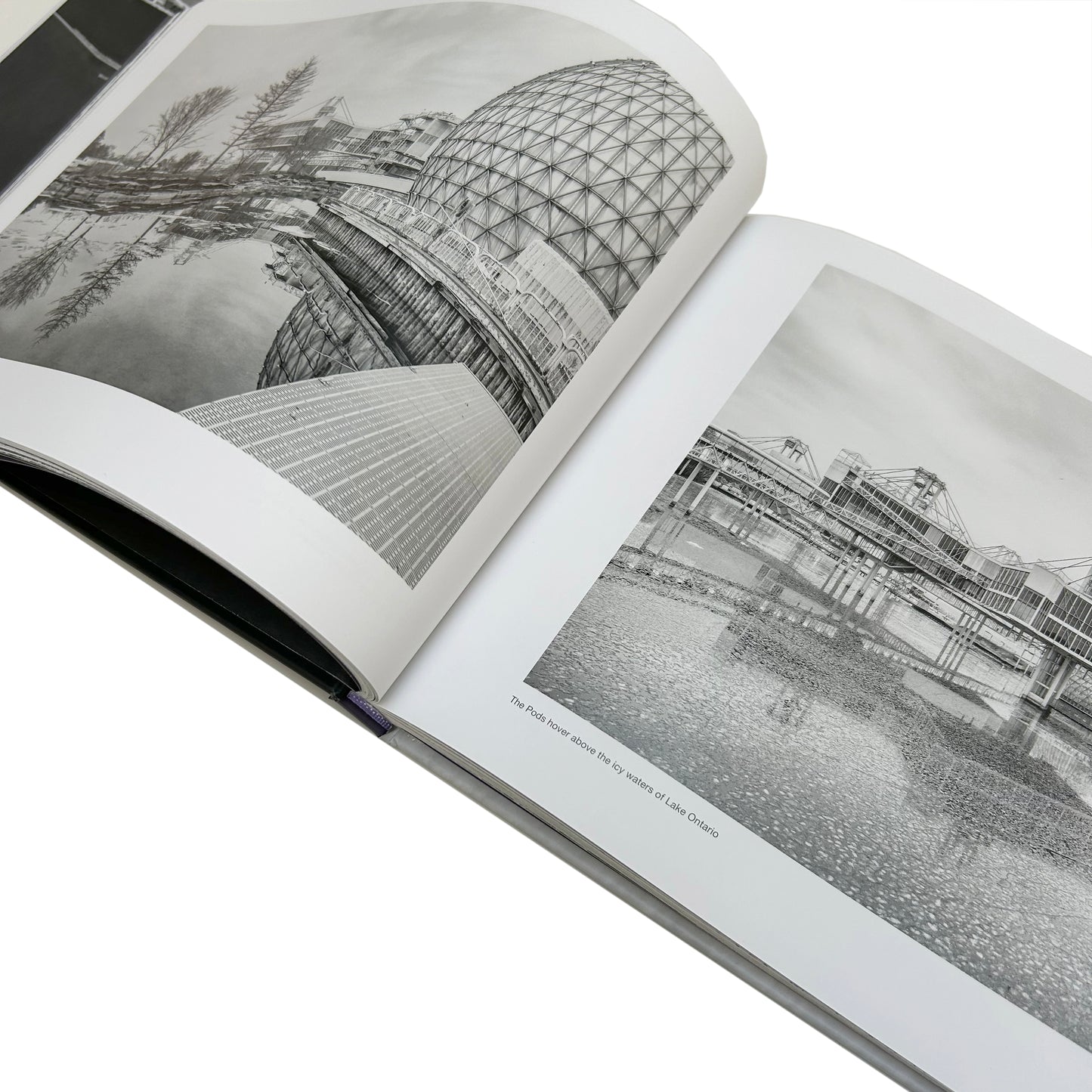 Steven Evans Book