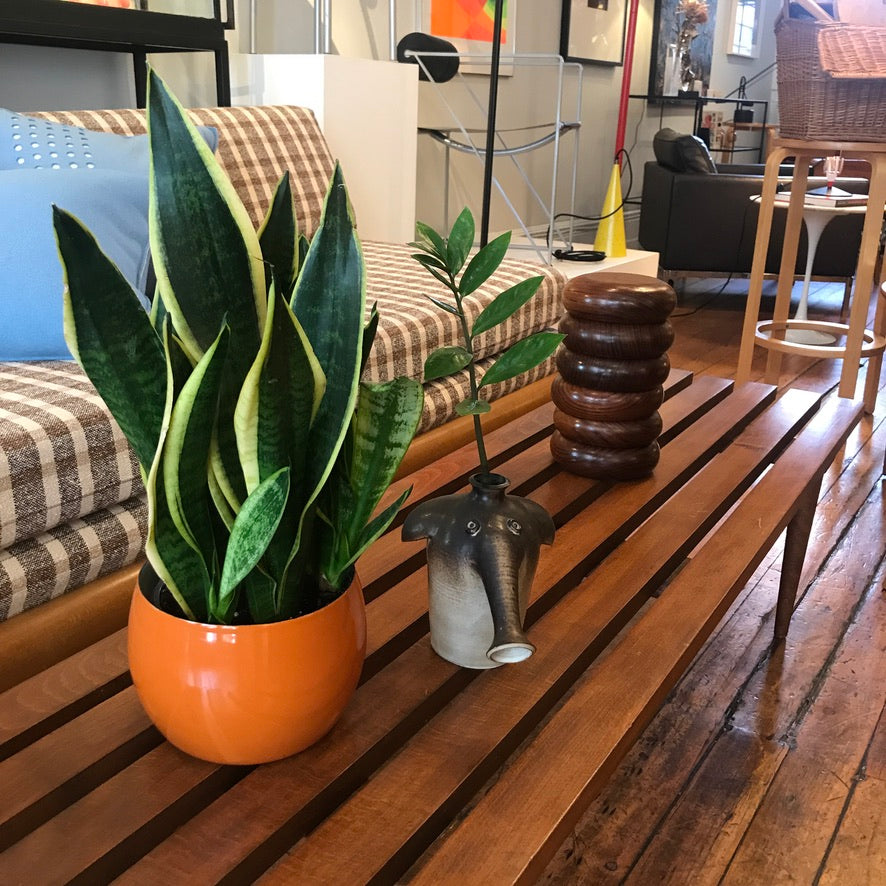 Teak Slat Bench