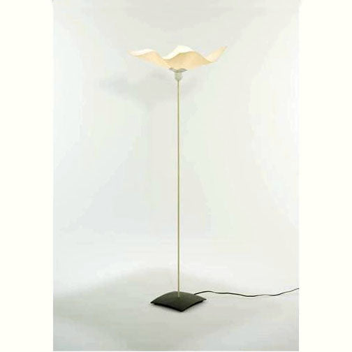 Area Curvea Floor Lamps