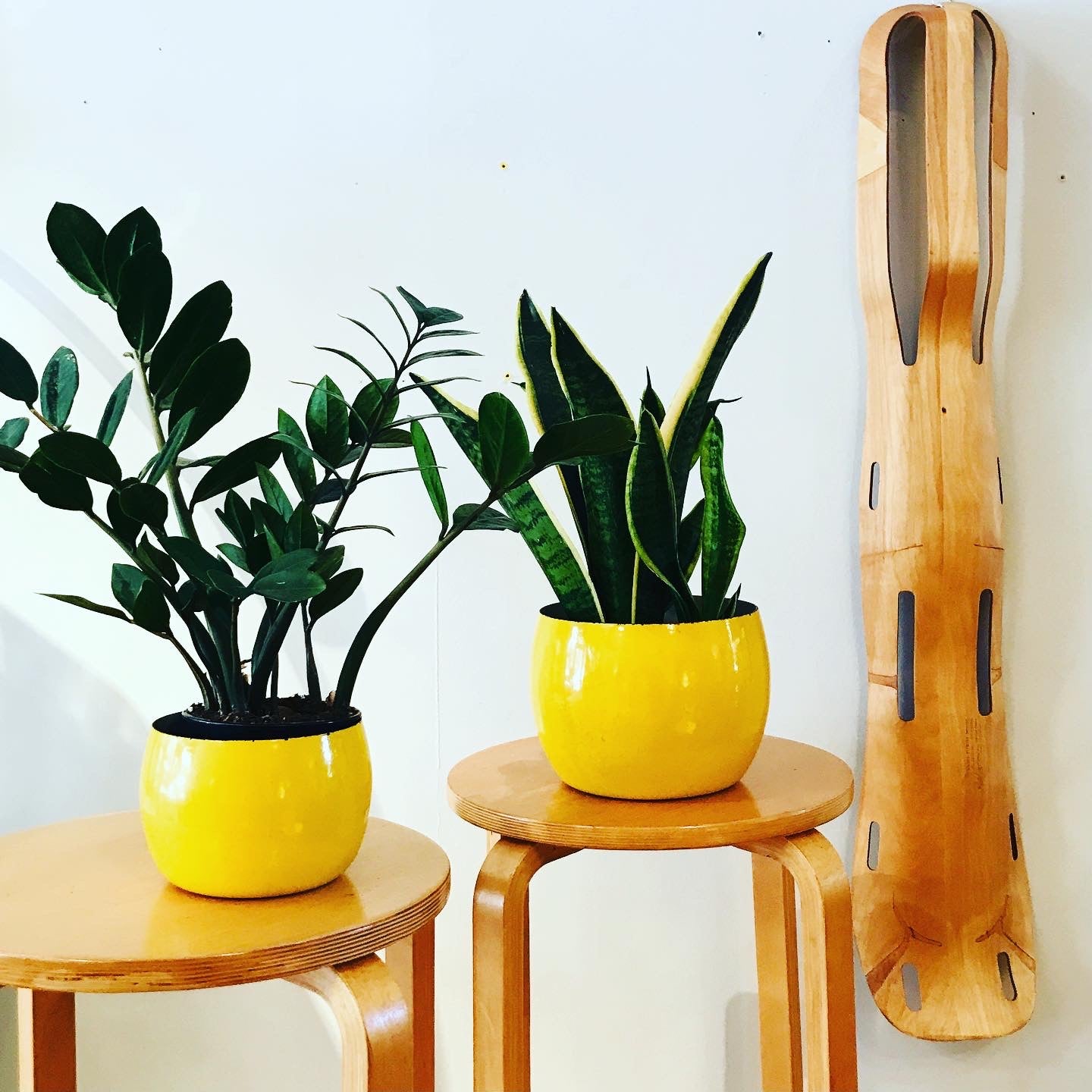 Eames Splint