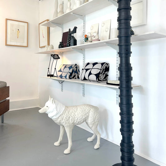 Wrapped Coyote, Janet Macpherson