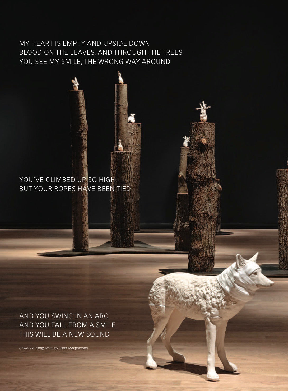 Wrapped Coyote, Janet Macpherson