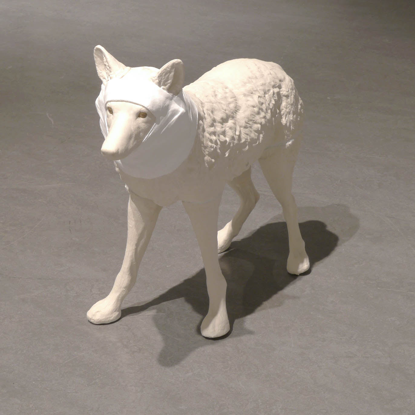 Wrapped Coyote, Janet Macpherson