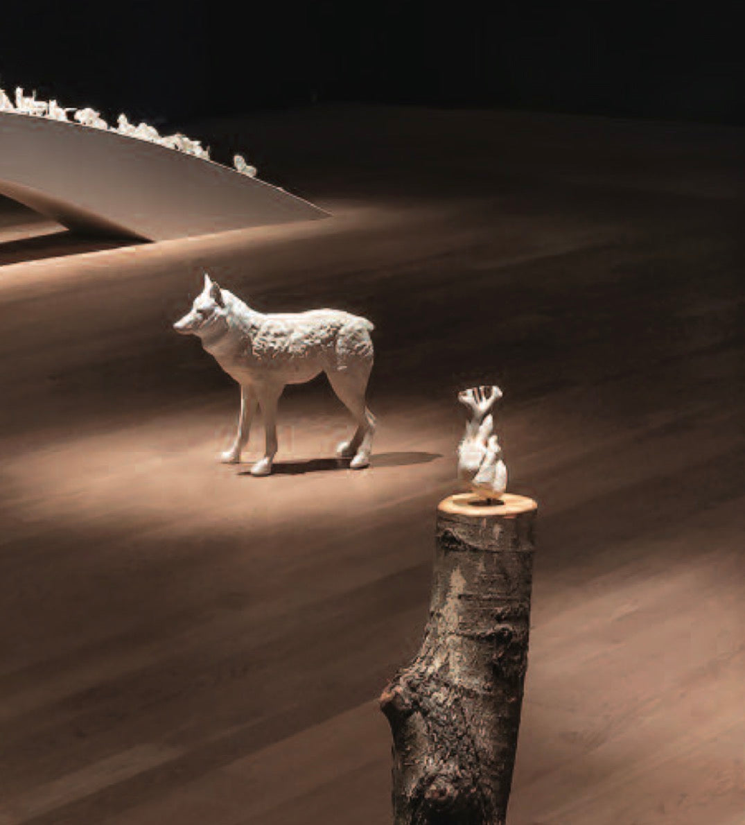 Wrapped Coyote, Janet Macpherson
