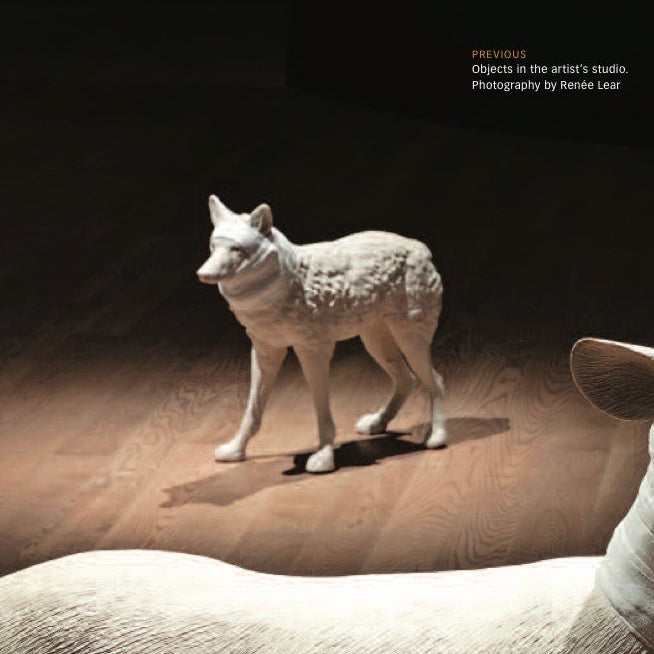 Wrapped Coyote, Janet Macpherson