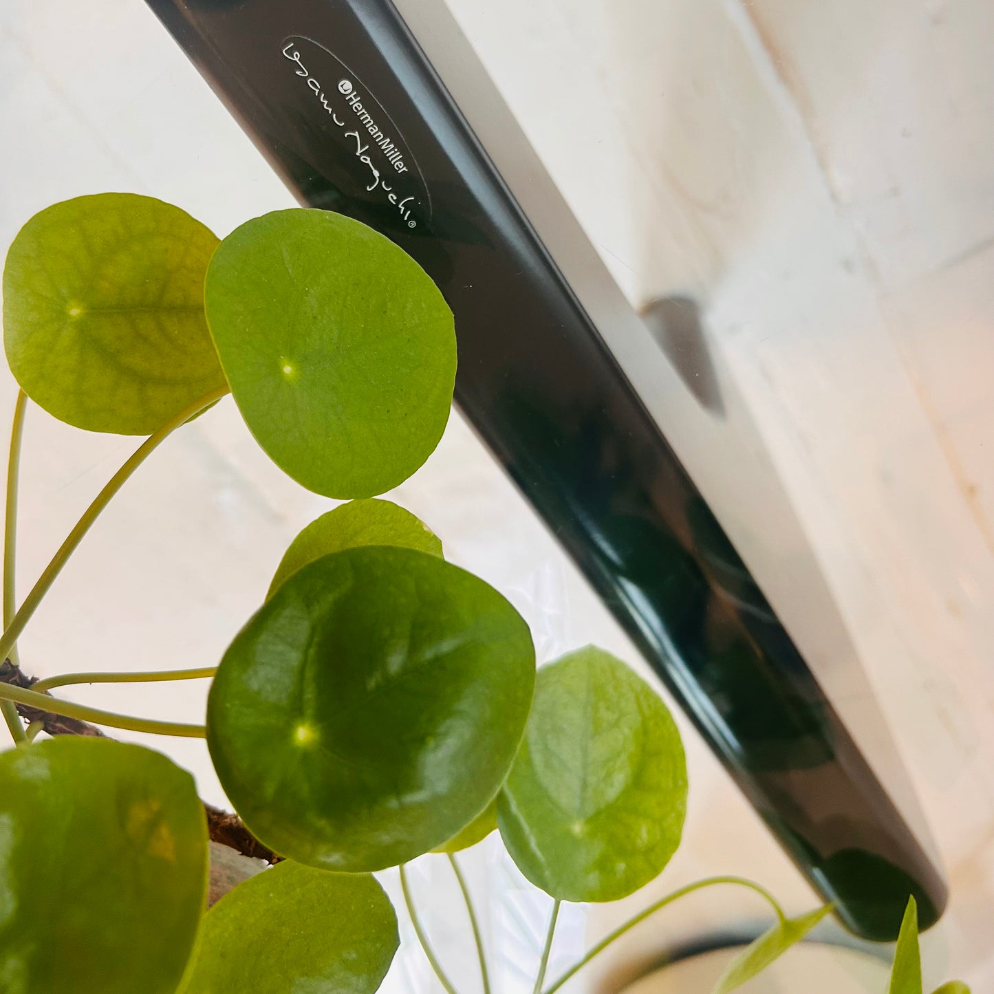 Original Noguchi Coffee Table