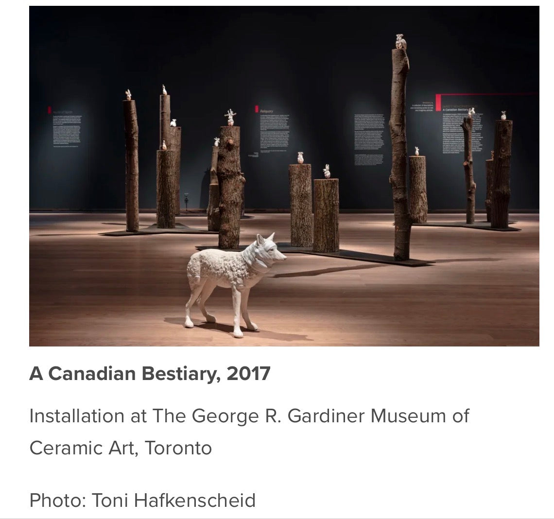 Wrapped Coyote, Janet Macpherson