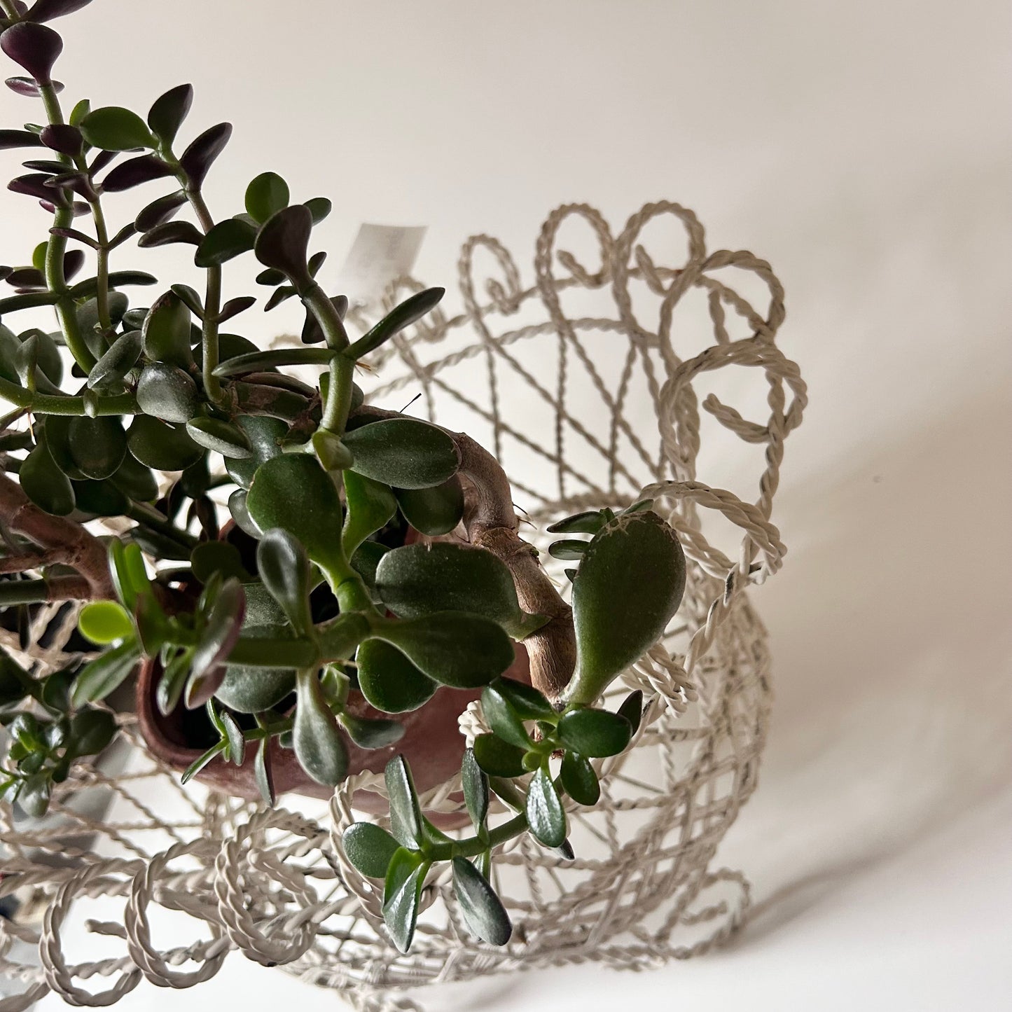 Antique French Wire Basket