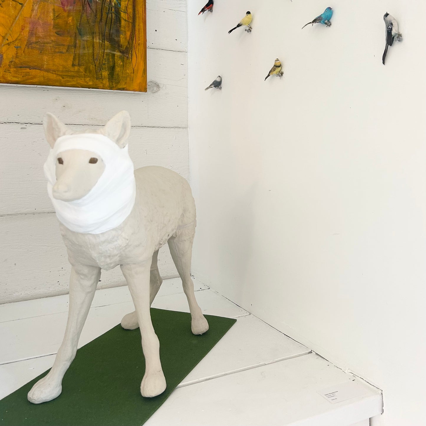 Wrapped Coyote, Janet Macpherson