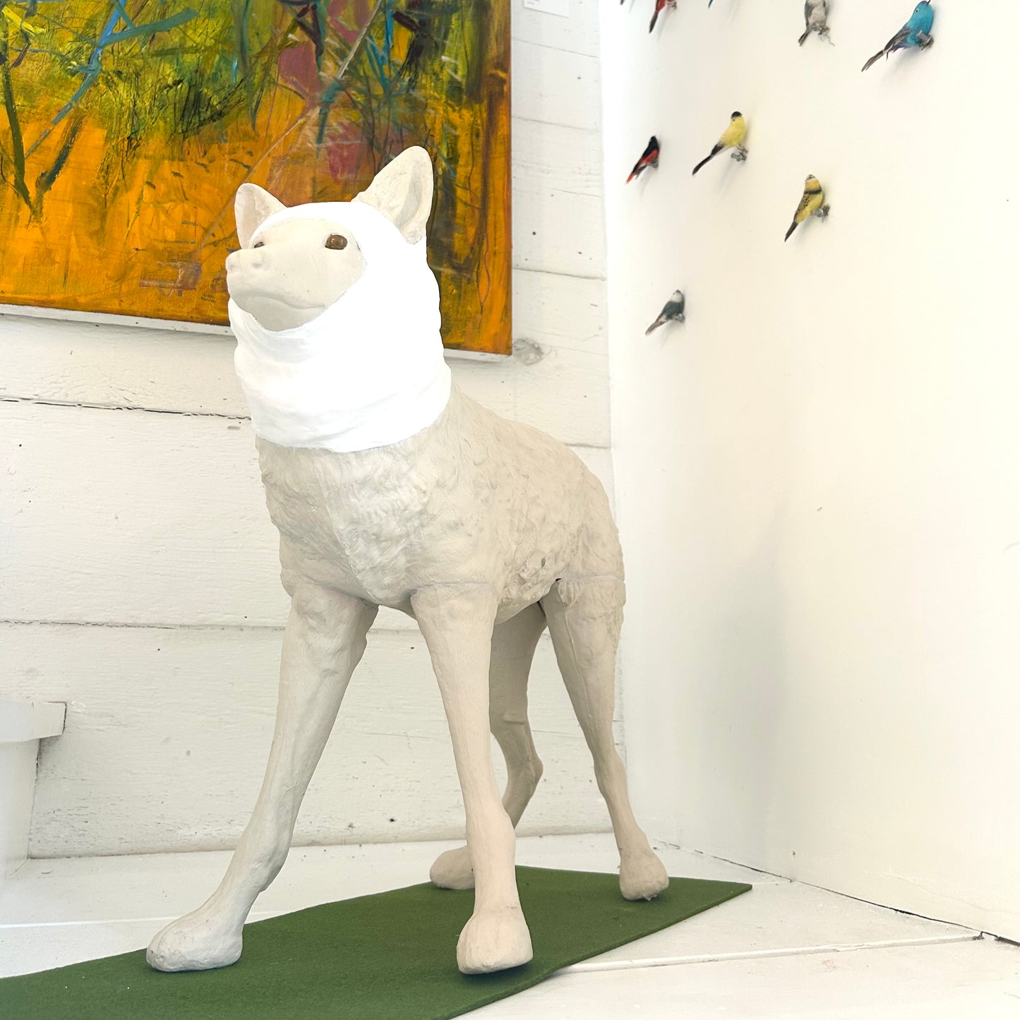 Wrapped Coyote, Janet Macpherson