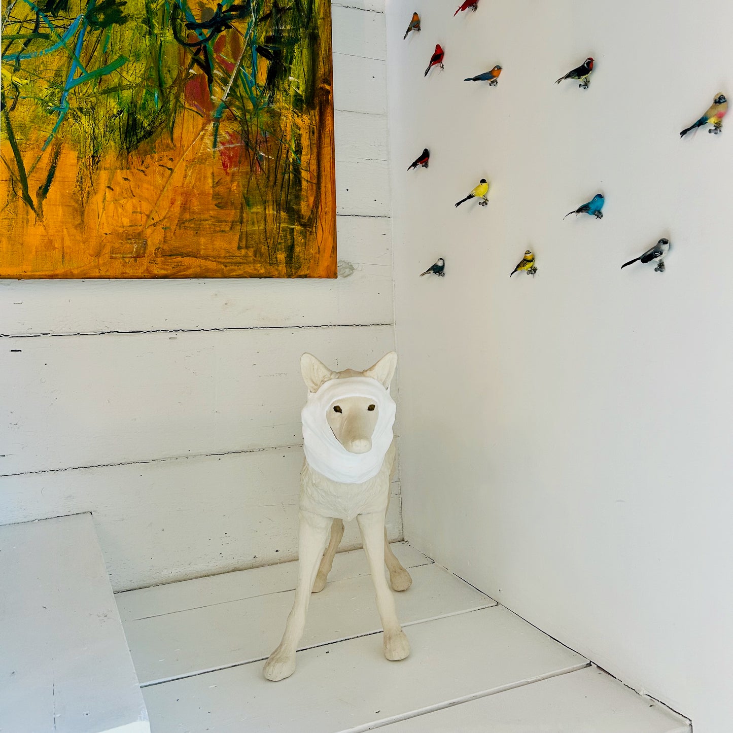 Wrapped Coyote, Janet Macpherson
