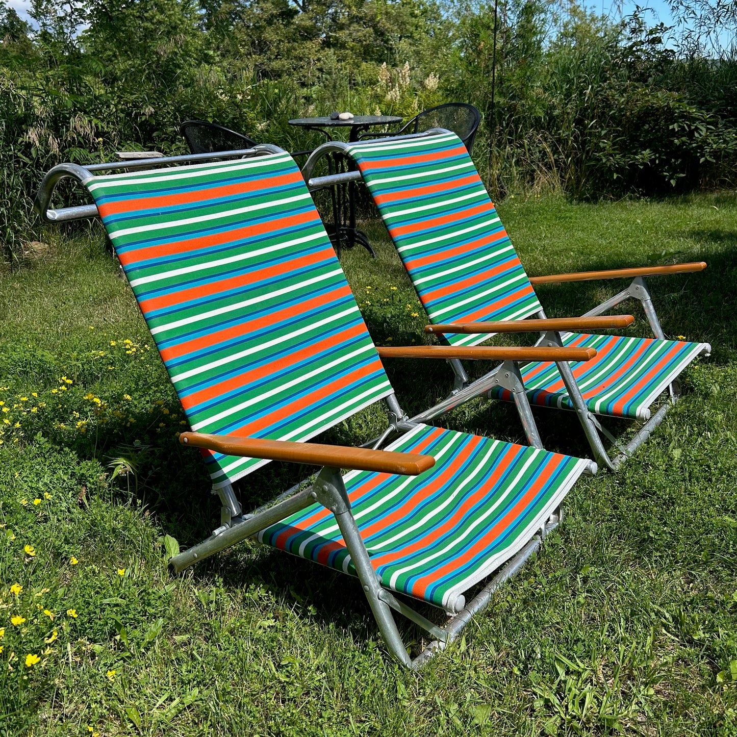 Pair of Folding Beach Chairs