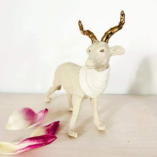 Janet Macpherson Porcelain